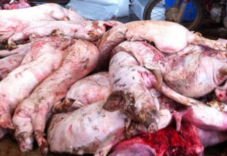 Thịt bò chế từ lợn, cá Trung Quốc: Bữa ăn toàn đồ giả
