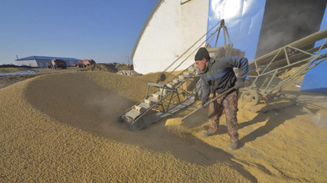 Cái giá phải trả khi chơi với láng giềng khổng lồ