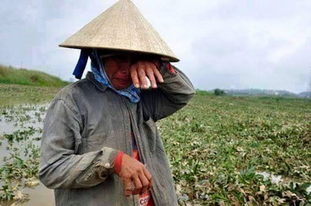 Dân mạng hò nhau mua dưa hấu cứu nông dân Quảng Nam