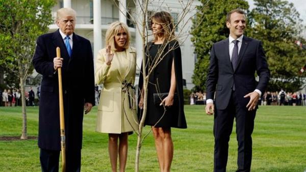 Cây sồi Tổng thống Pháp trồng tặng ông Trump 