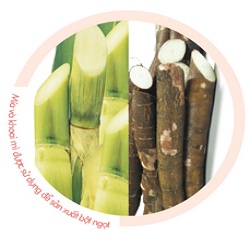 Những điều cần biết về bột ngọt