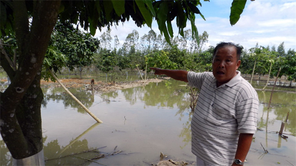 Khó quản nên... dẹp chuột nuôi