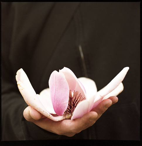 Có hiểu mới có thương, không hiểu biết không thể thương yêu !