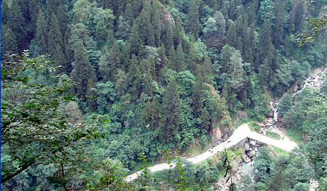 Phát hiện những thùng chứa phôi thai trong rừng Urals