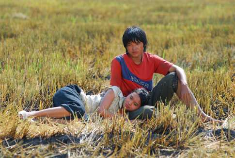 Cánh đồng bất tận