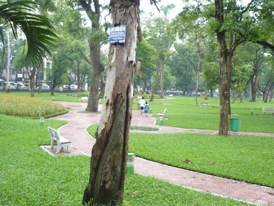 Vụ “xẻ thịt” công viên làm bãi đỗ xe: Phải giữ công viên bằng mọi giá