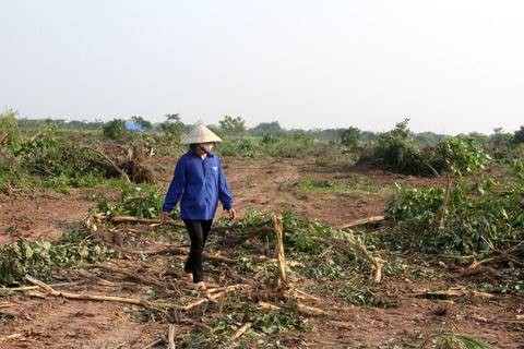 Tạm giữ 20 người trong vụ cưỡng chế đất tại Hưng Yên