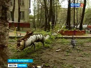 Moskva: Trời trở lạnh vào đầu tháng 5