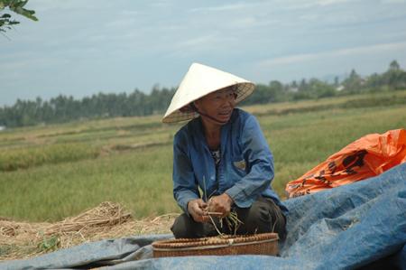 Rùng mình xã 500 cán bộ ở Thanh Hóa