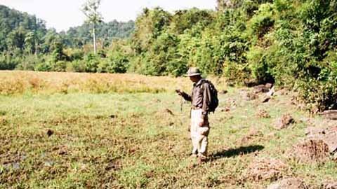 Bò tót vào sân bay: Cực lạ và cực tiếc