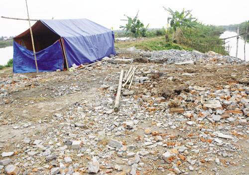 Hàng chục tấn thủy sản trong đầm của ông Đoàn Văn Vươn 