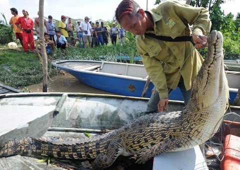 Niệm “thần chú”, bắt cá sấu ăn thịt người
