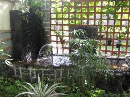 Trồng cây xanh mang sức khỏe cho cả nhà