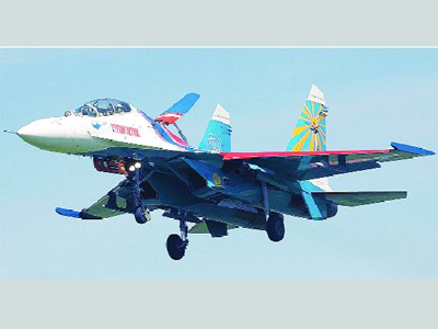 Mắc vào... chim, máy bay Nga lao xuống đất