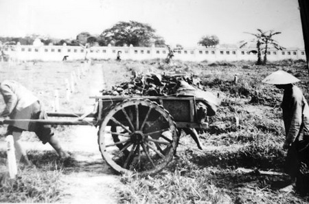 Ngôi mộ tập thể lớn nhất thế giới ở Hà Nội