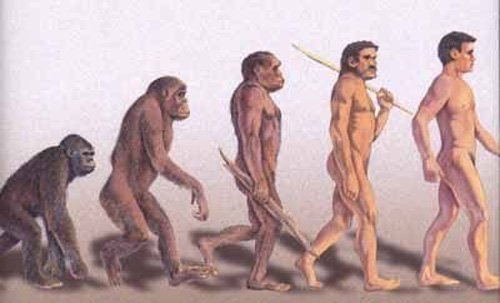 Phát hiện cực mới về tổ tiên loài người