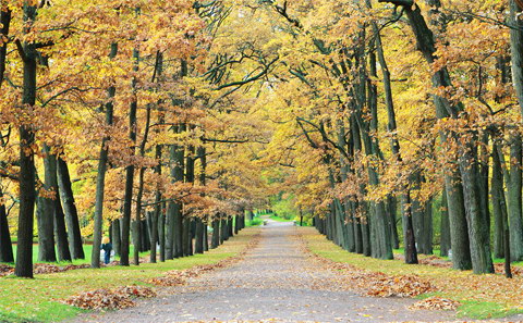 Mùa thu nước Nga bất tận