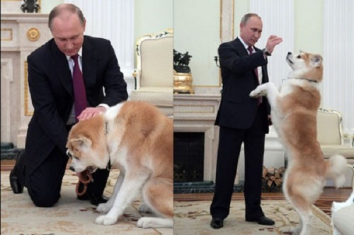Chùm ảnh: Hé lộ cuộc sống thường ngày của Tổng thống Nga Putin