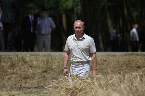 Ông Putin kỳ vọng nông nghiệp hóa giải đòn trừng phạt