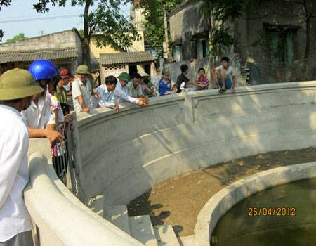 Thực hư chuyện rắn nhập hồn ở giếng đình Phượng Vũ