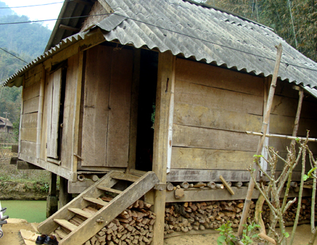 Đêm cạy cửa “ngủ thử” với sơn nữ giữa rừng hoang