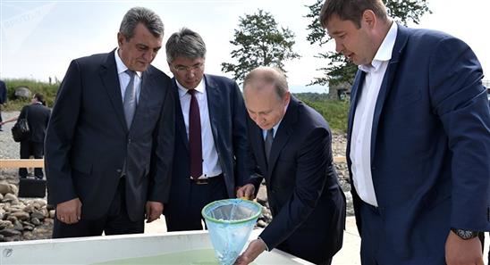 Ông Putin thả 50 nghìn con cá xuống hồ Baikal (Video)