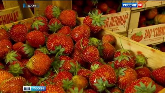 Moskva: Mở cửa 135 điểm bán dâu tây