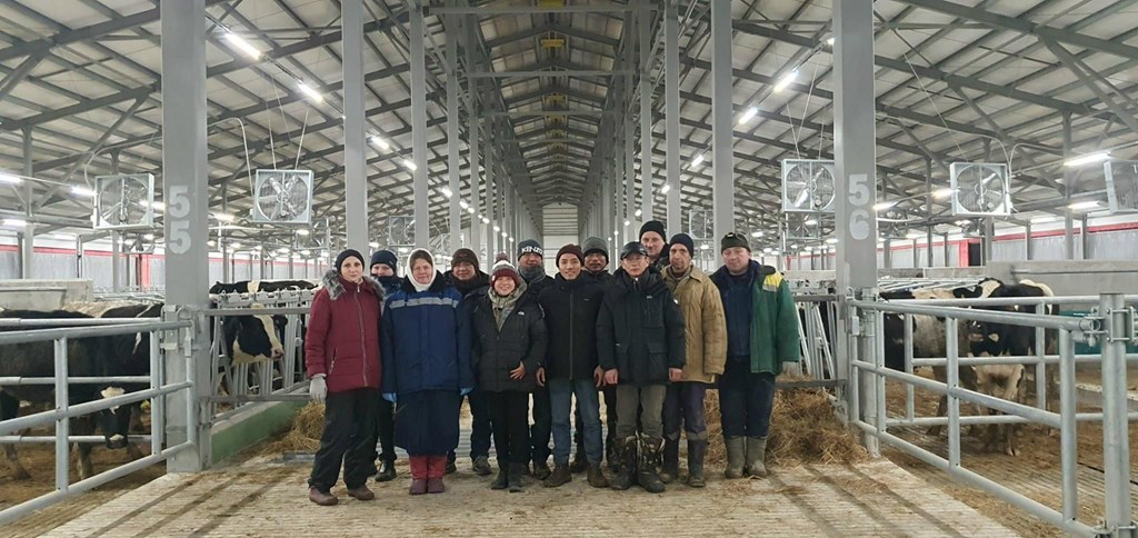 Hình ảnh mới nhất về đàn bò sữa gần 2.400 con nhập khẩu từ Mỹ về trang trại của TH tại Nga