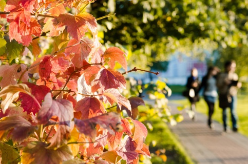 Moskva ấm lên sau những ngày mùa đông đến sớm