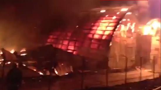 Moskva: Hỏa hoạn trong khu nhà kính ở huyện Ramensky