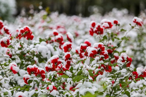 Moskva sắp lạnh đến -14 độ C?