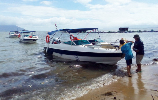 Giám đốc trẻ cứu 200 người: “Cứu được người nào mừng người đó!”