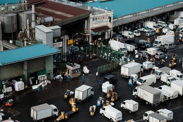 Chợ cá lớn nhất thế giới ở Nhật trước ngày đóng cửa