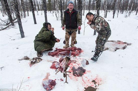 Chùm ảnh tuyệt đẹp về bộ tộc chuyên ăn thịt sống, uống máu tuần lộc