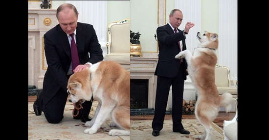 Hình ảnh đời thường của Tổng thống Nga Putin