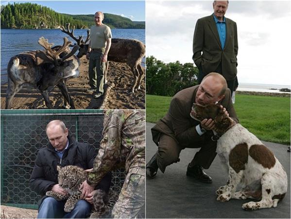 Tiết lộ bí mật thú vị về những chú chó của Tổng thống Nga Putin