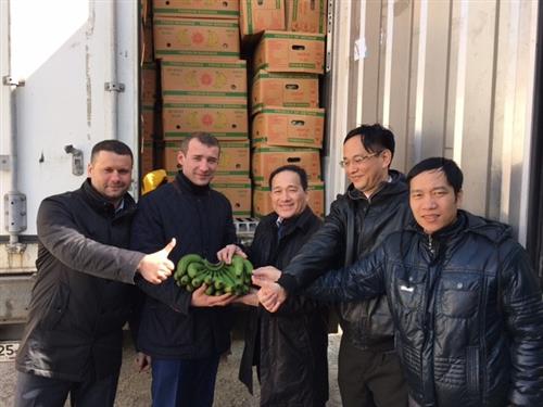 Việt Nam xuất khẩu chuối sang Vladivostok