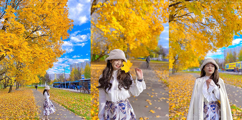 Bộ ảnh số 16: Mùa thu ở Moscow