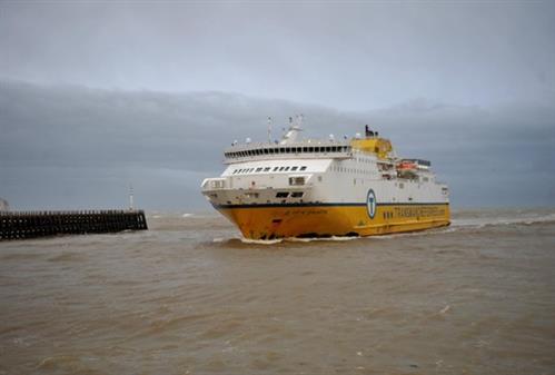 Anh phát hiện 9 thiếu niên Việt Nam trốn trong xe tải