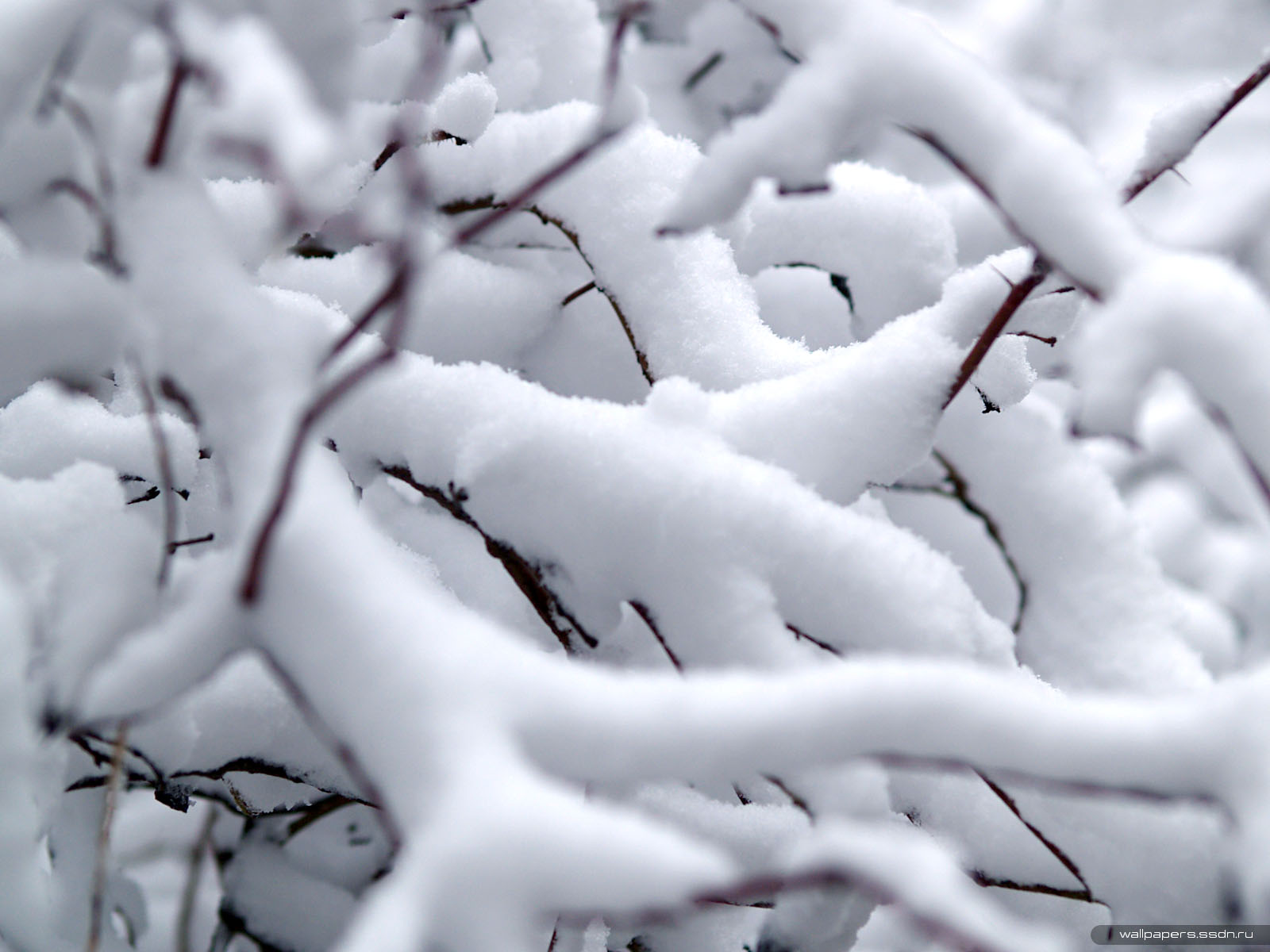 Moskva: Tuyết rơi nhiều, trời sẽ ấm trong vòng 10 ngày
