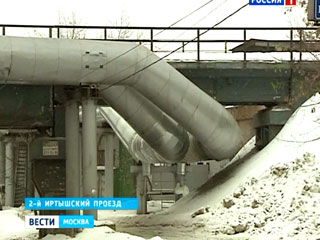 Moskva: Kinh hòang chó hoang tấn công người đến chết