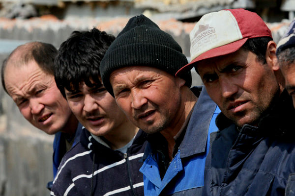 Nga: Người nhập cư có tay nghề cao chỉ chiếm hơn 1%