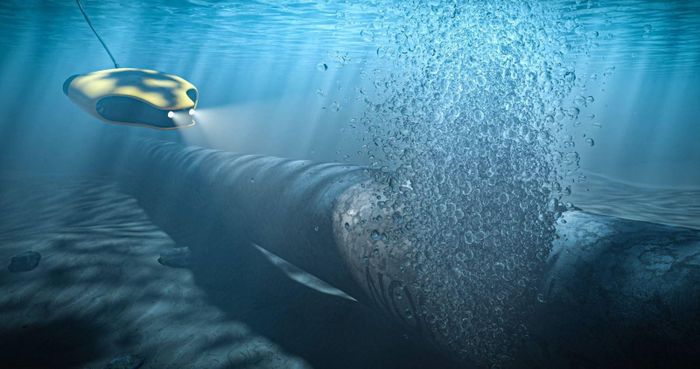 Vì sao Ba Lan bất ngờ trở thành tâm điểm cuộc điều tra vụ nổ đường ống Nord Stream?