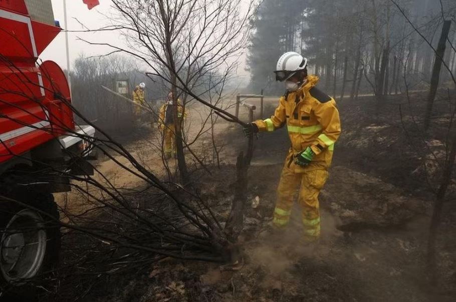 'Biển lửa' vụ cháy rừng lớn nhất lịch sử Bỉ đang tiến sát biên giới Đức