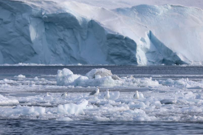 Lịch sử các tuyên bố chủ quyền đối với Greenland