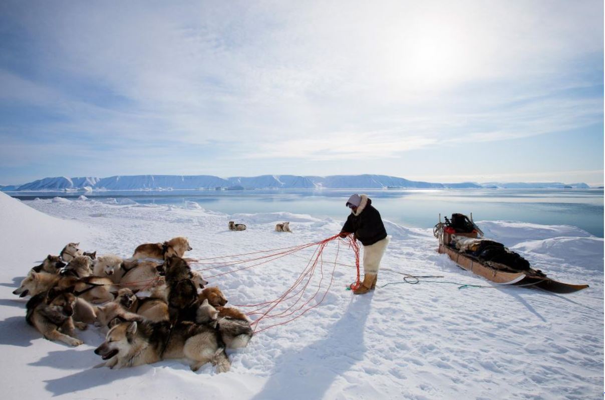 Nghề săn gấu Bắc Cực tại hòn đảo ông Trump muốn mua