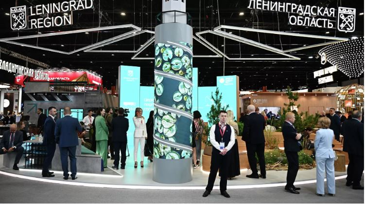 Dân biểu Nghị viện châu Âu: SPIEF cho thấy nỗ lực cô lập Nga đã thất bại