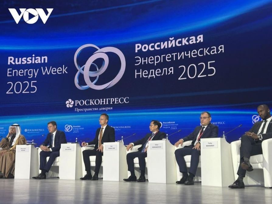 Phó Thủ tướng Bùi Thanh Sơn tham dự diễn đàn về năng lượng toàn cầu tại Nga