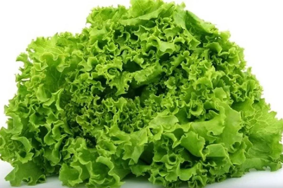 Mỹ đánh giá là 