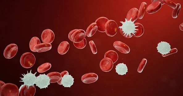 Tìm ra manh mối ngăn ung thư tái phát